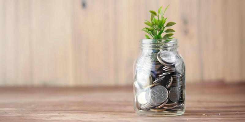 Change jar with a plant
